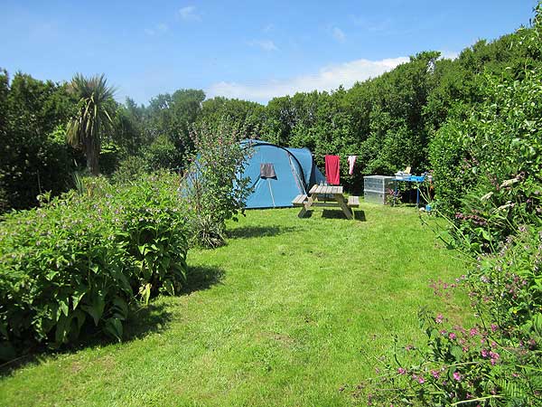 allotment