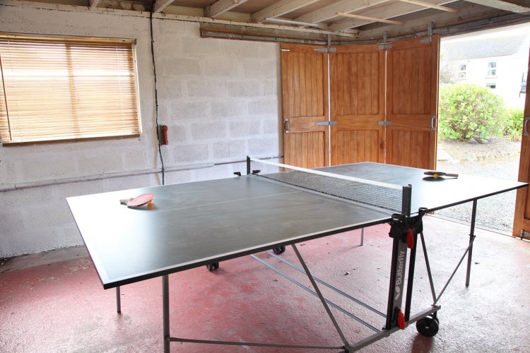 5322_W750_Table_Tennis_in_the_garage_58c312